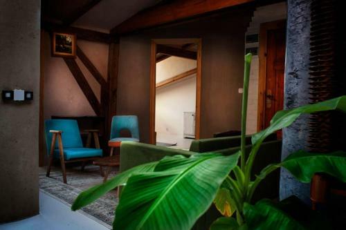 Caly Apartament