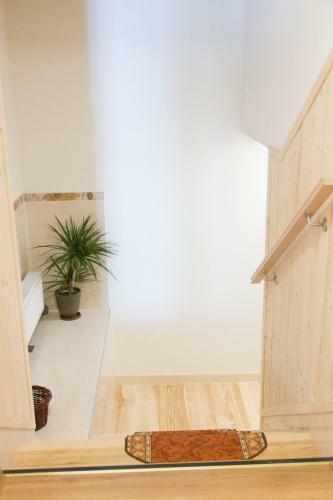 Apartamento Szarotka