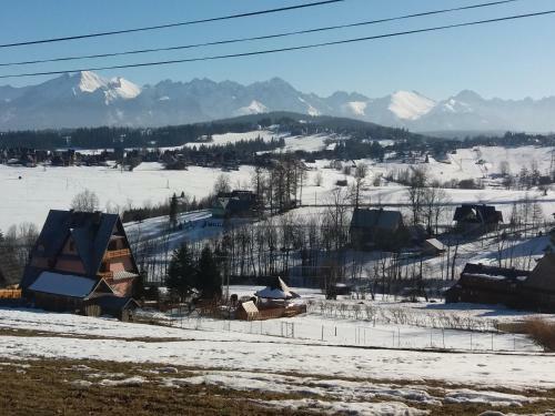 Agrotatry U Stachy