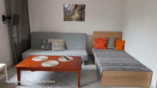 Apartamenty Zdrojowe