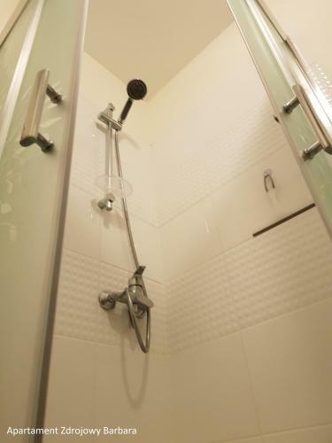 Apartamenty Zdrojowe