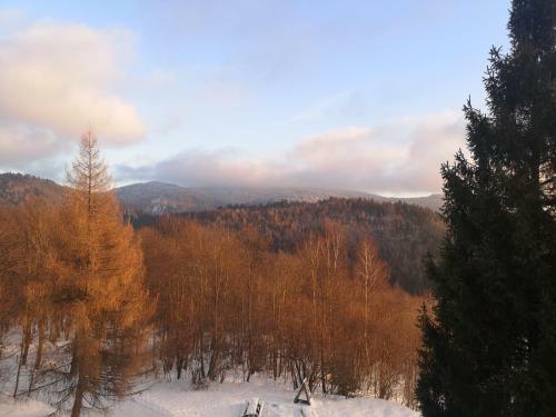 Albergue Bac�wka Pod Honem W Cisnej