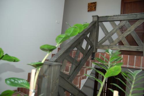 Bed & Breakfast Cisna Chata