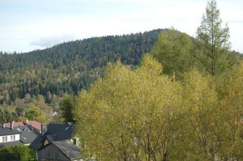 Bed & Breakfast Cisna Chata