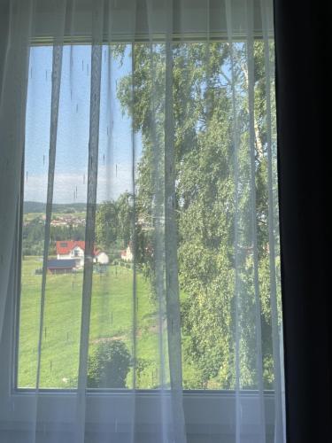 Hostal Pokoje Pod Brz�zk?