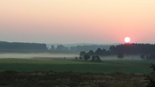 Lodge Winnica D?bog�ra