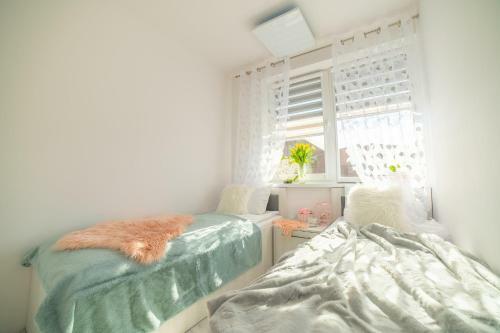 Apartamenty Scarlet