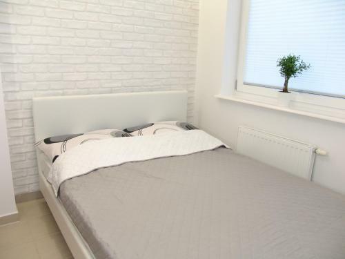 Apartament Bia?e Piaski
