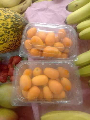 Antalya Naturel Camping Caravan Accommodation