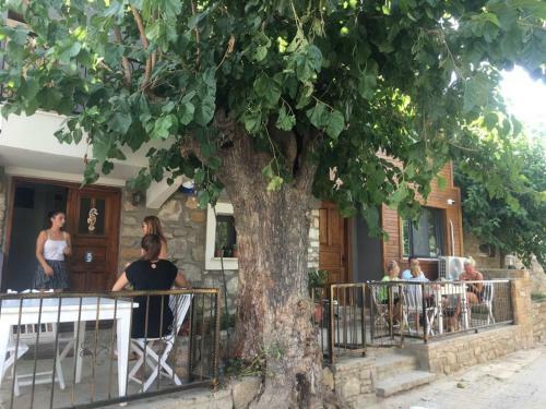 Bed & Breakfast Paparuna But?k Otel