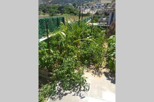 Villa Pandemi de Karaburun ... Sa?l?kl? G�nlere....
