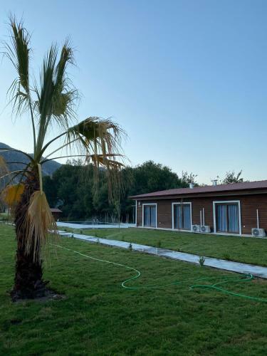Apartamento Bungasera Tat?l K�y�