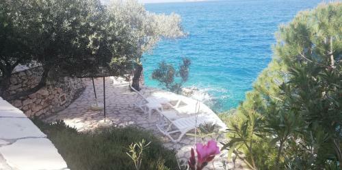 Sea View Bougainvillea 52