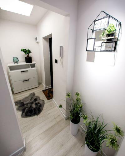 Apartament Shark