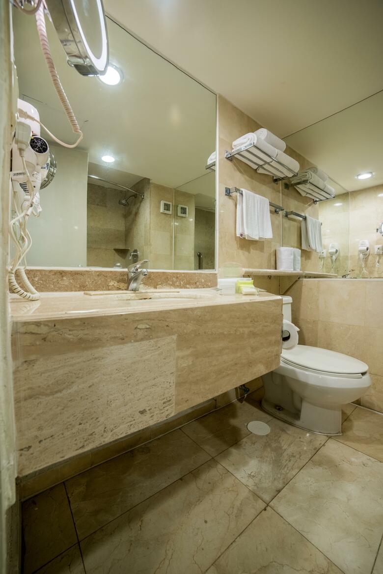 Hotel Holiday Inn Guadalajara Expo