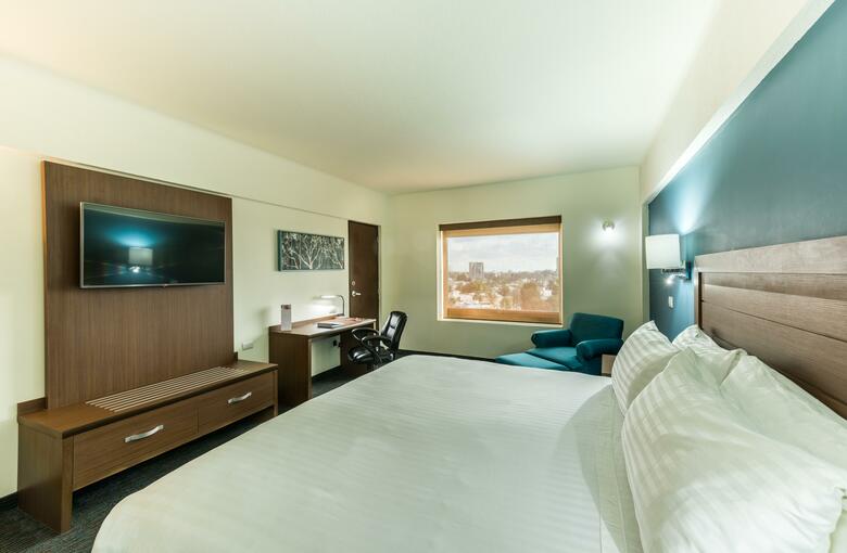 Hotel Holiday Inn Guadalajara Expo