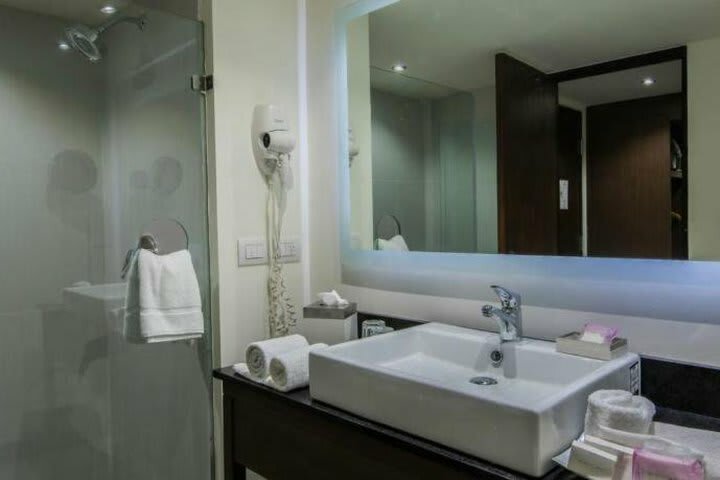 Hotel Holiday Inn Guadalajara Expo