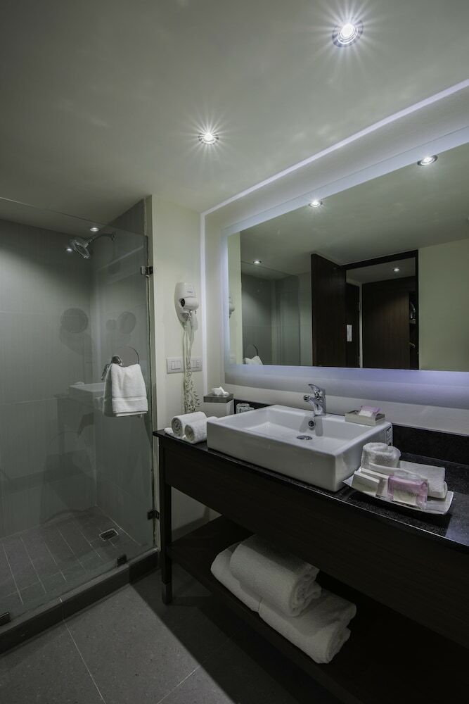 Hotel Holiday Inn Guadalajara Expo