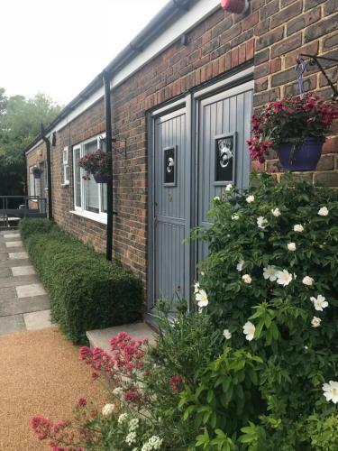 Hostal St Andrews Lodge Hotel - Guest House