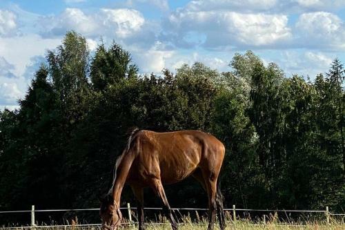 Ma?y Bia?y Domek Pomi?dzy Kaszubskimi Jeziorami