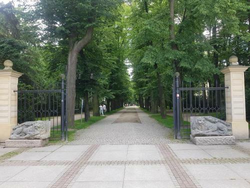 Apartamento Pokoje Go?cinne Uzdrovisco Cieplice