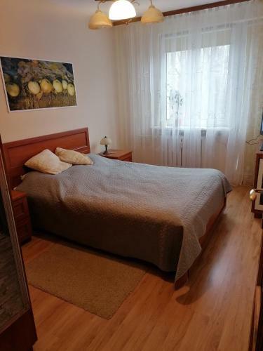 Apartament Podr�?nika