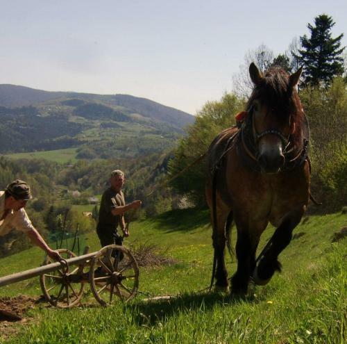 Agroturystyka Miller�wka