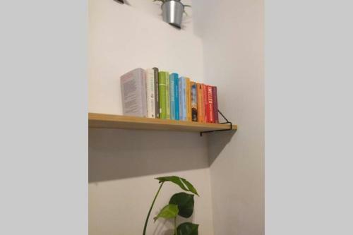 Apartment Rajzefiber - Spodek - Mck - Nospr