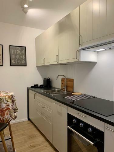 Apartamento Katowice City Centre II