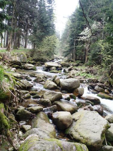 Apartamento Zimorodek