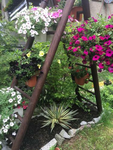 Apartamento Zimorodek