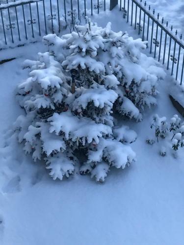 Apartamento Zimorodek