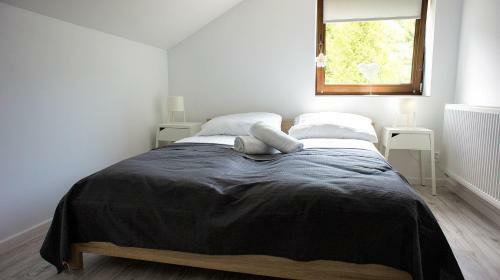 Apartamenty Karkonoskie