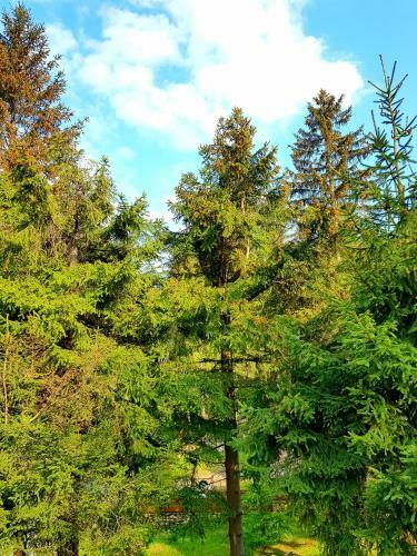 Apartamento Willa G�ralka