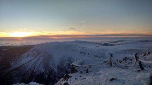 Apartament Kameralny