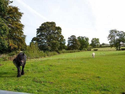 Bridge End Farm