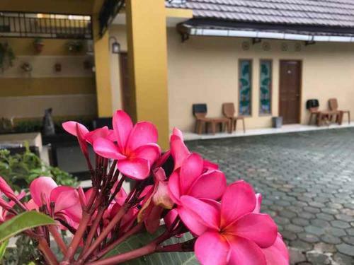 Balinda Guest House