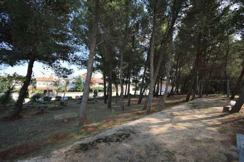 Apartment Liljana With Shared Swimming Pool