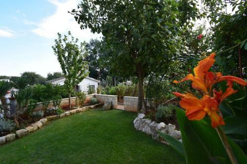 Apartment Ivo With Shared Swimming Pool