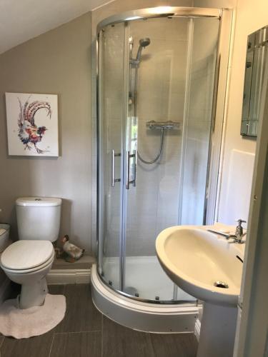 Bed & Breakfast Cary Fitzpaine House