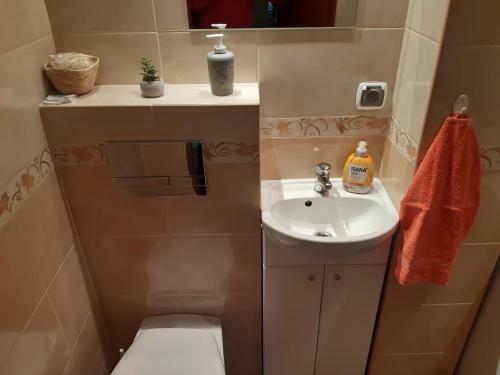 Apartament Rodzinny Or?owo