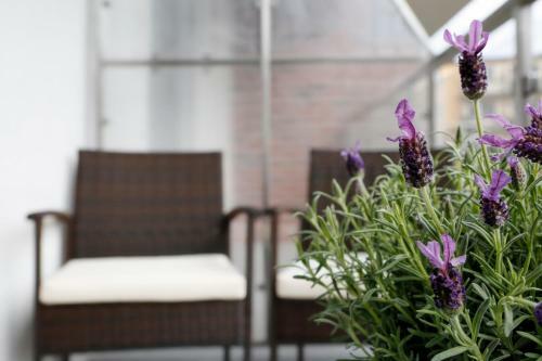 Short Stay Apartments