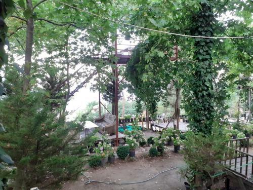 Beycik Panorama Camping