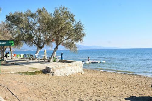 Villa Orlin's Summer House