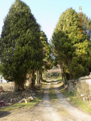 Agroturismo Holdstrong Farmhouse