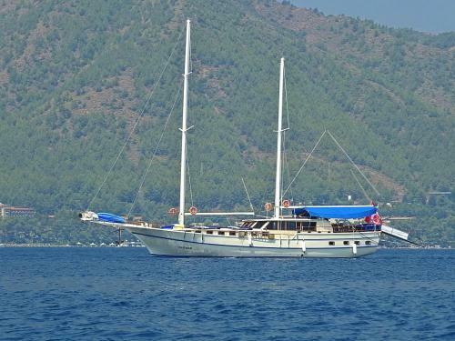 Segmen Gulet