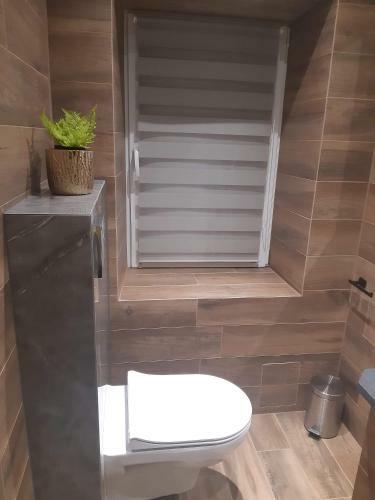 Apartament Przy Jeziorze Czorsztynskim