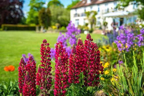 Bed & Breakfast Grange Country Guest House (non Smoking)