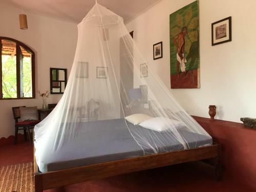 Hostal The Temple Jungle House