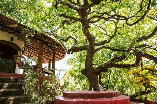 Hostal The Temple Jungle House